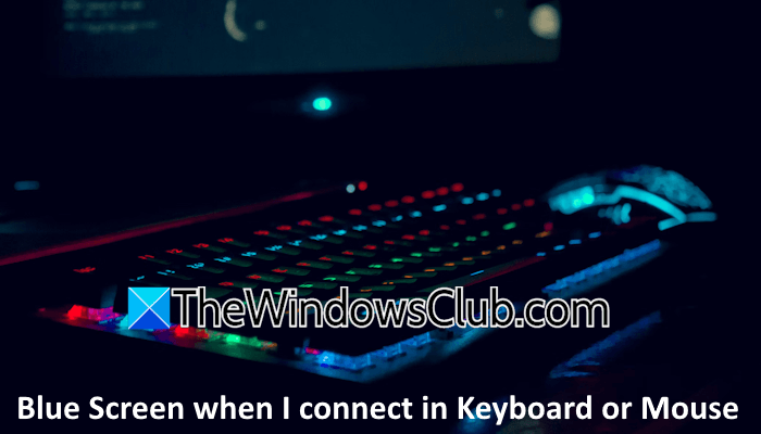 Blue Screen when connect Keyboard Mouse