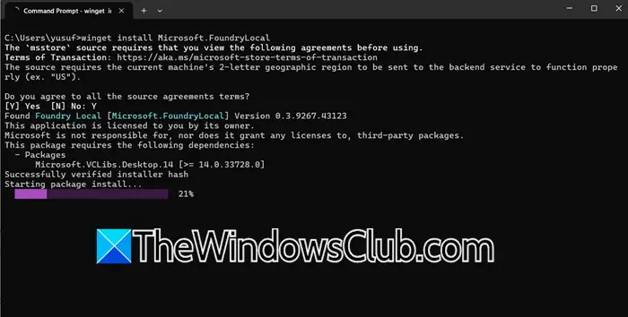 Windows AI Foundry